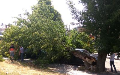 Прикрепленное изображение: 2017-07-26 15-07-38_cr.jpg